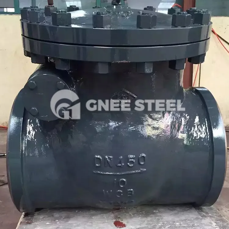 कच्चा लोहा चेक वाल्व