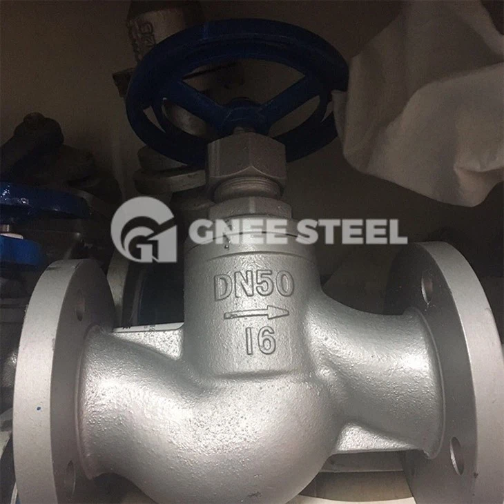 ci globe valve
