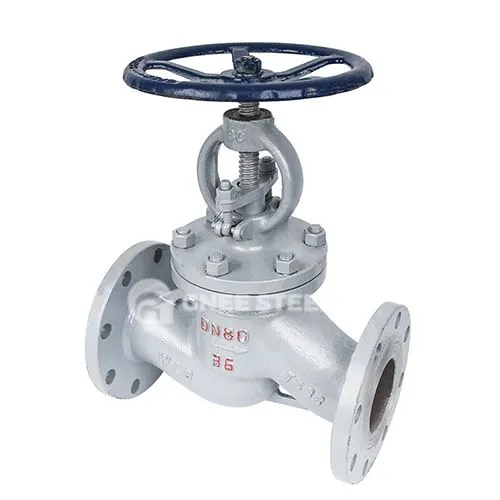 बॉयलर ग्लोब वाल्व