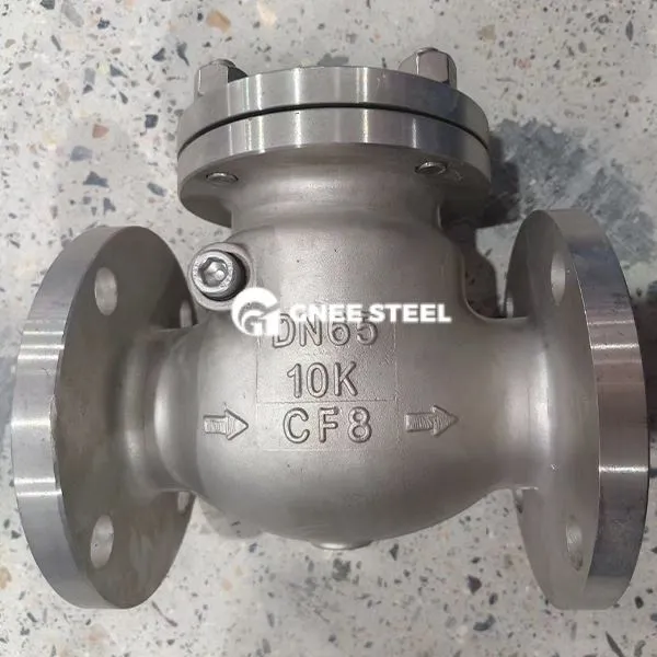 कार्बन स्टील ANSI 300 स्विंग चेक वाल्व