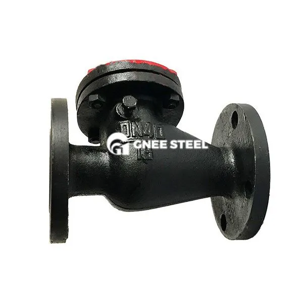 कास्ट आयरन स्विंग चेक वाल्व