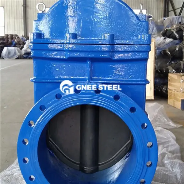 डक्टाइल आयरन रेजिलिएंट सीटेड गेट वाल्व