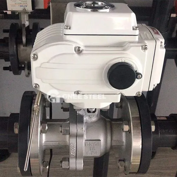 विद्युत चेक वाल्व