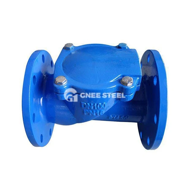 Flap Check Valve