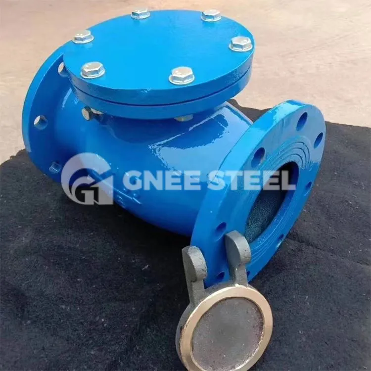 पूर्ण पोर्ट स्विंग चेक वाल्व