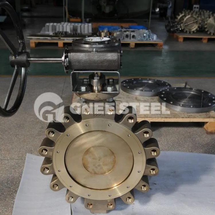 लग प्रकार चेक वाल्व