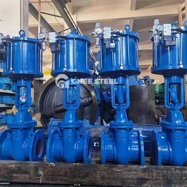 वायवीय वेज गेट वाल्व