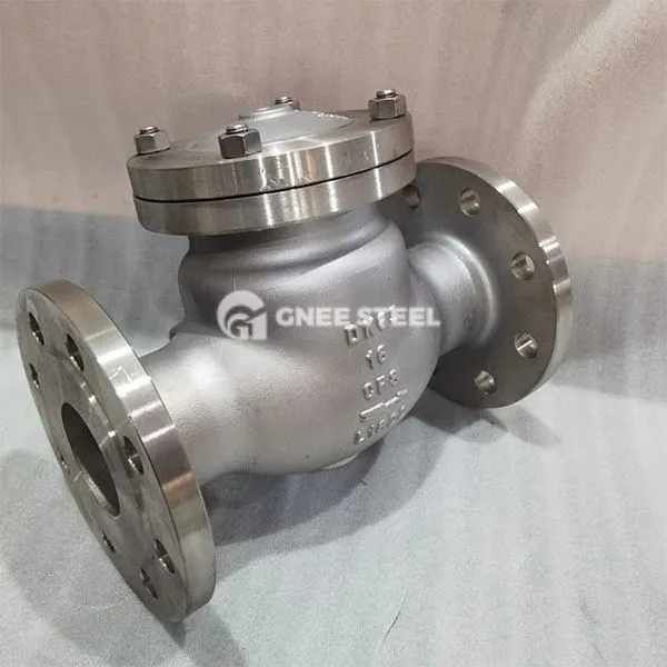 स्टेनलेस स्टील क्रायोजेनिक चेक वाल्व